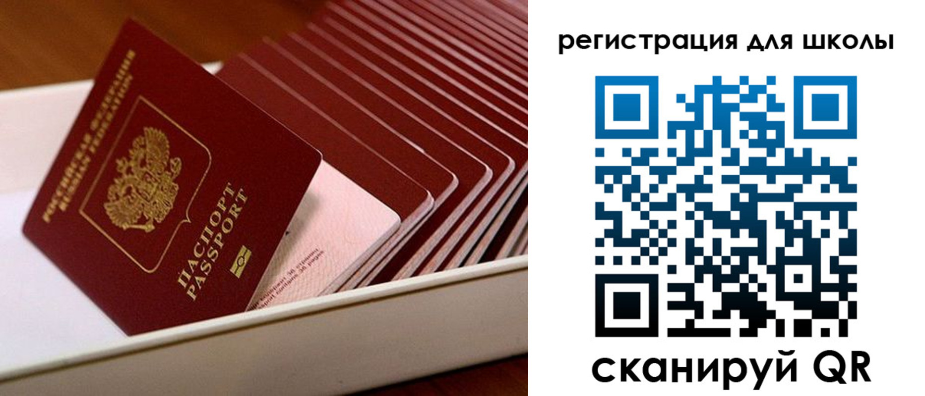 прописка гарантия в Коврове